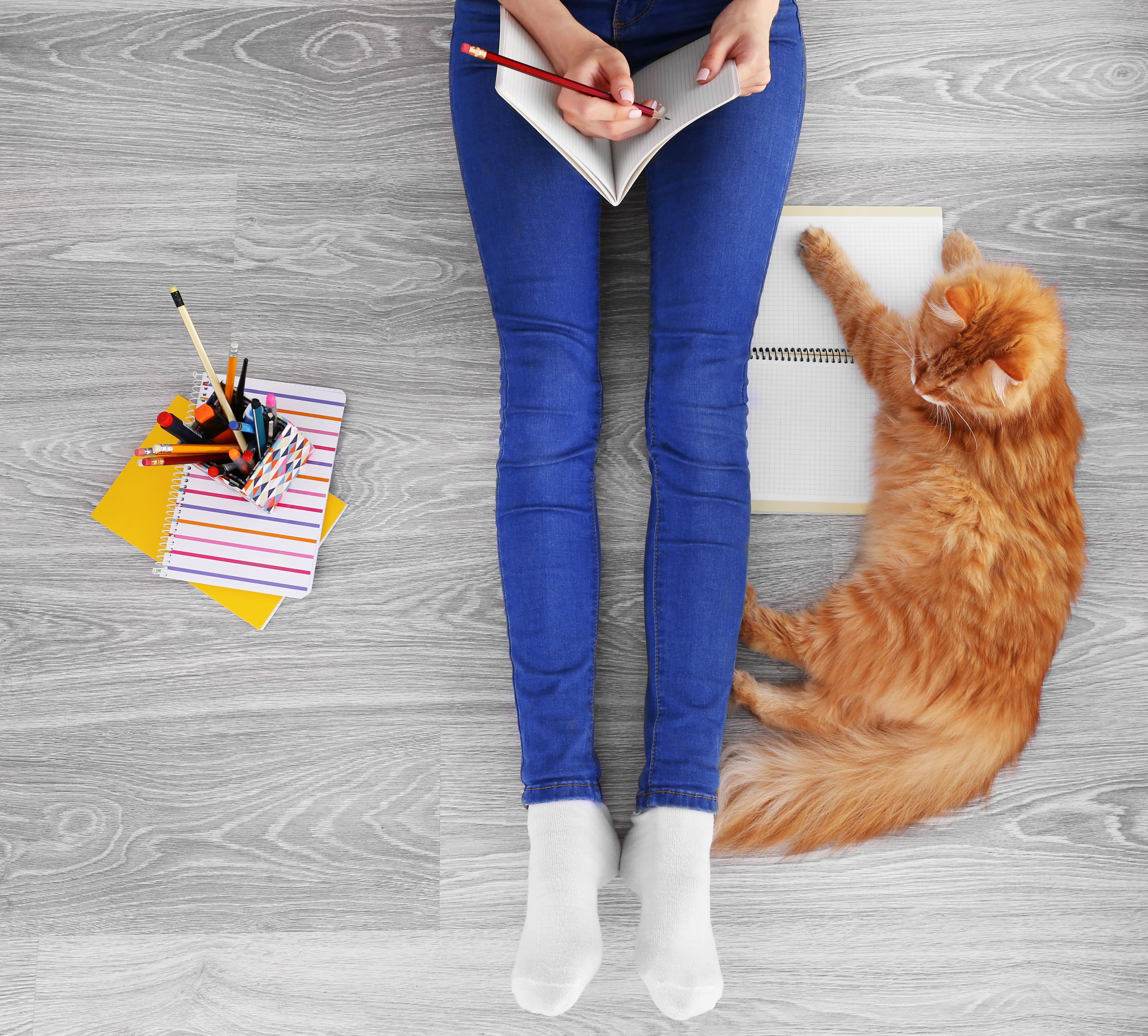 write about an animal