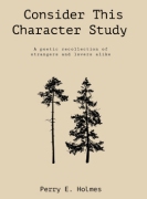 Consider This Character Study: A poetic recollection of strangers and lovers alike