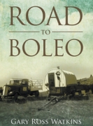 Road to Boleo