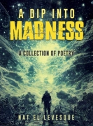 A Dip Into Madness : A Collection of Poetry