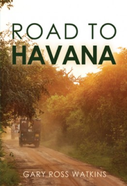 Road to Havana
