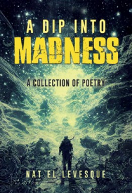 A Dip Into Madness : A Collection of Poetry