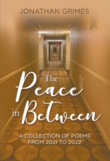 THE PEACE IN BETWEEN: A COLLECTION OF POEMS FROM 2021 TO 2022