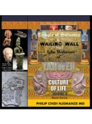 Temple of Solomon & Wailing Wall Part 1.  Igbo Mediators of Yahweh Culture of Life: Volume V
